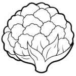  花菜  线稿