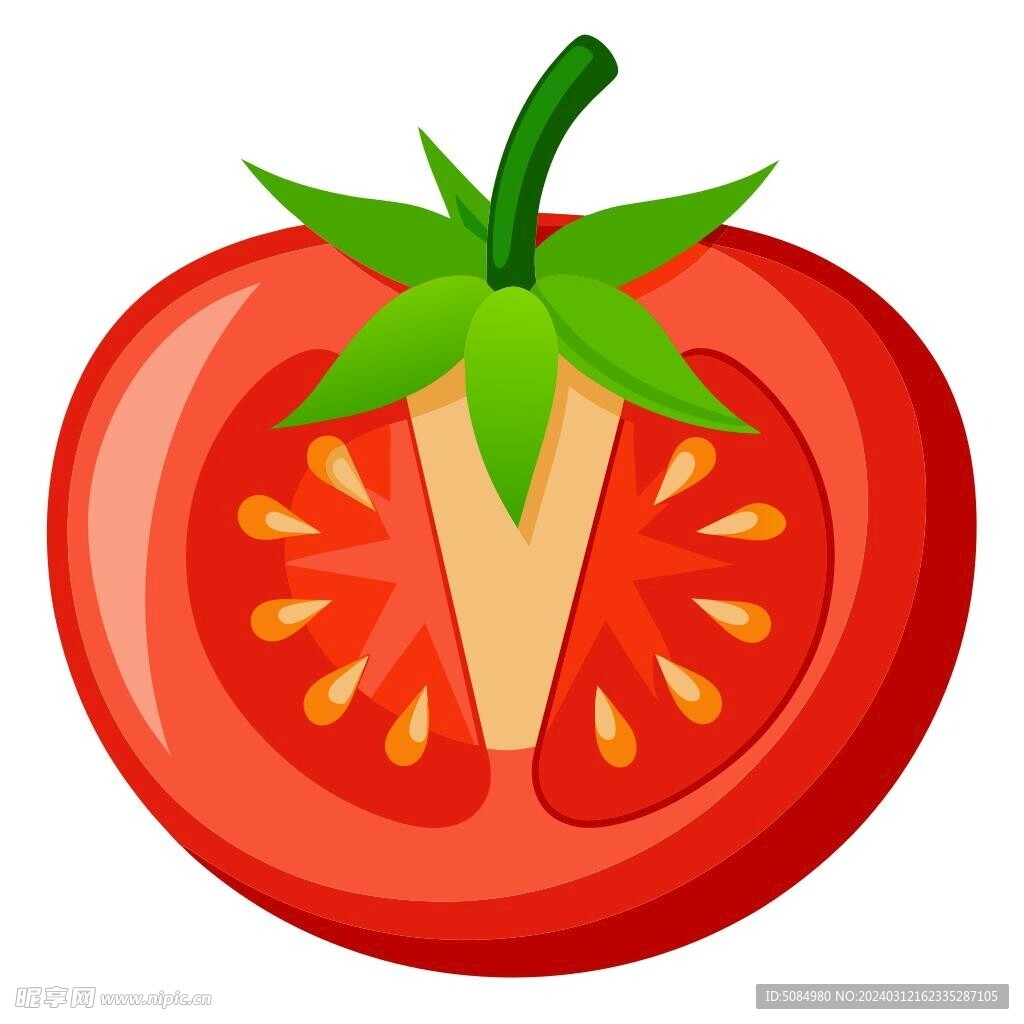 西红柿剖面素材