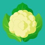 平面风格 花菜