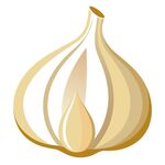 大蒜剖面素材