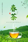 春茶