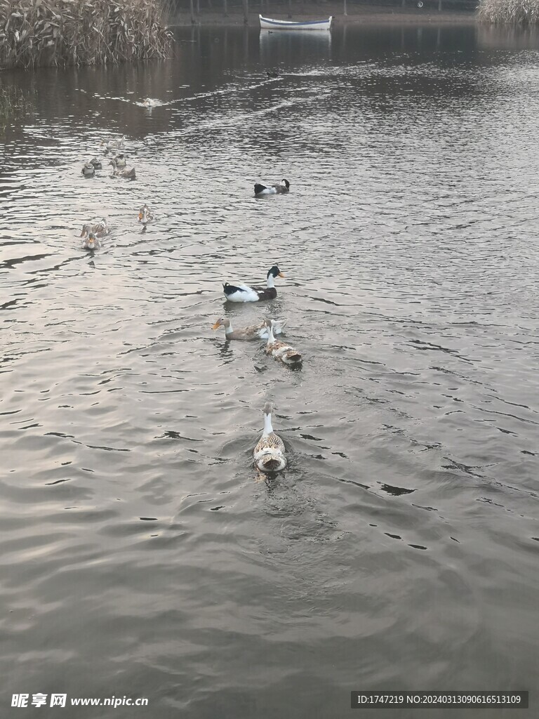 长兴岛湿地公园