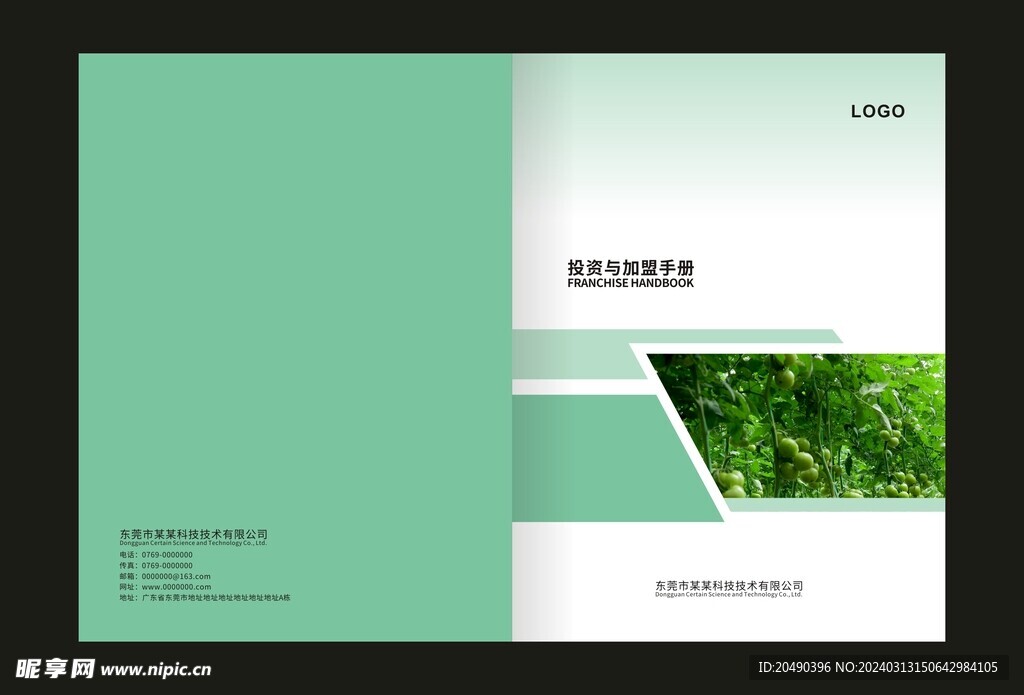 绿色蔬菜画册封面