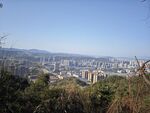 城市
