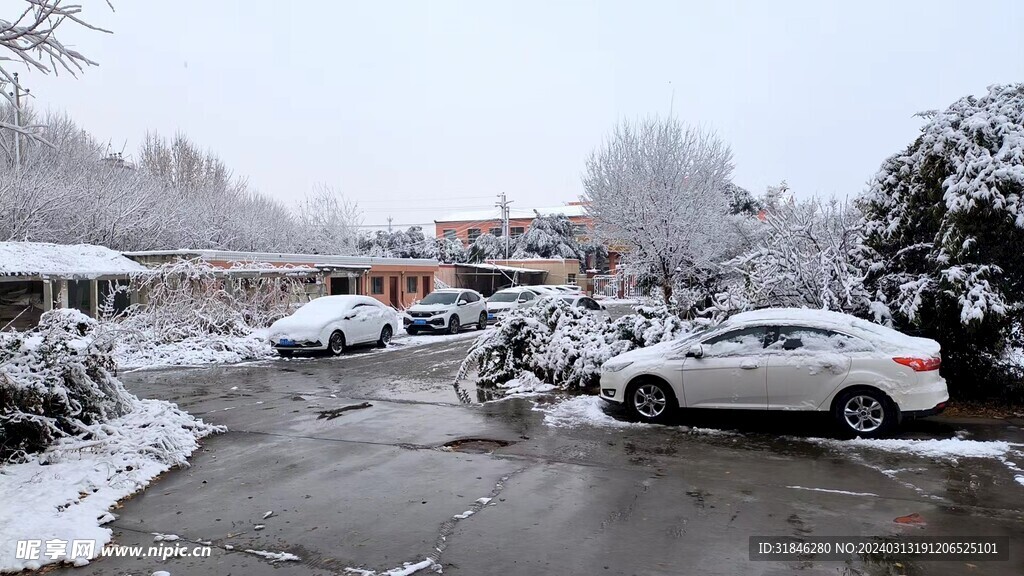 雪景 汽车