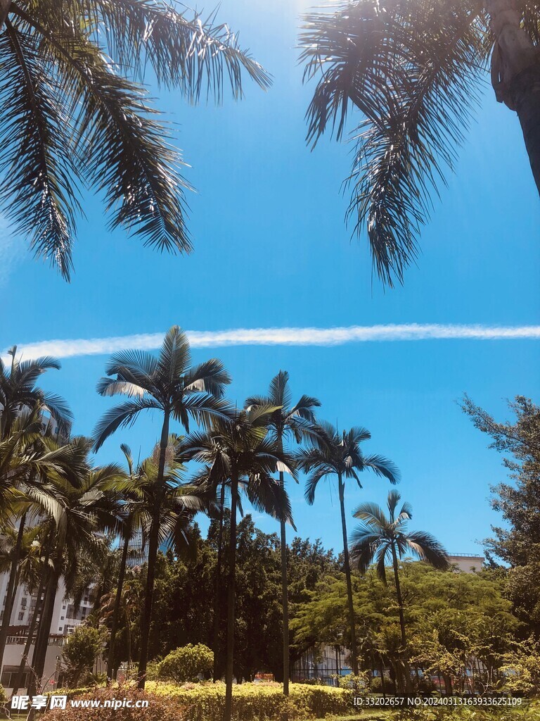 飞机划过天空的风景