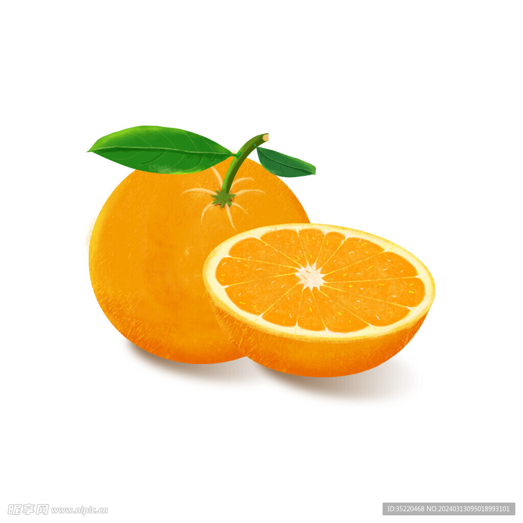 手绘插画橘子水果橙子
