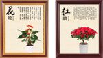 植物画框