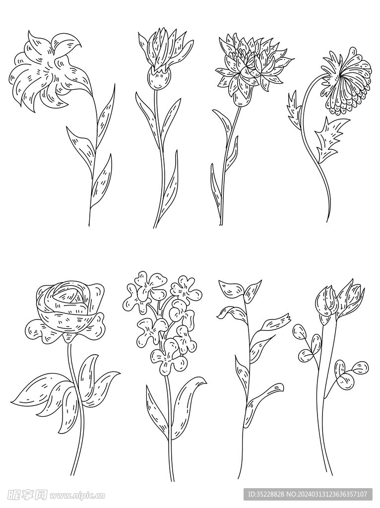 花植物手绘