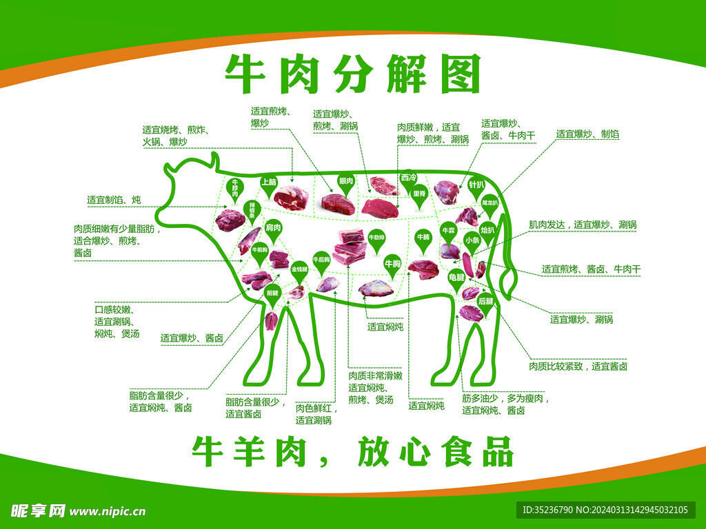 牛肉分割图