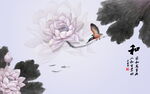 荷花背景