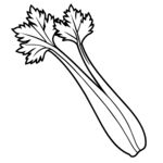  芹菜  线稿