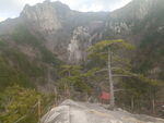 天堂松