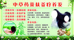 中草药茶麸养发