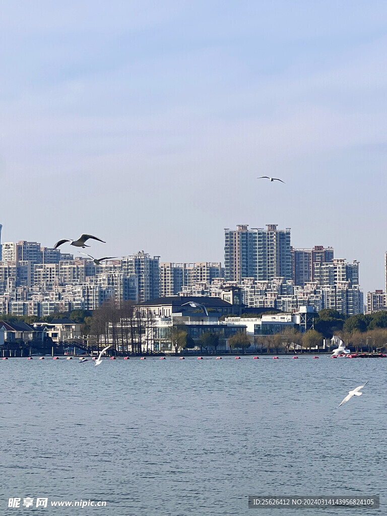 海边城市