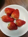草莓