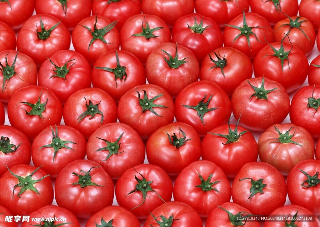 新鲜的红色西红柿番茄