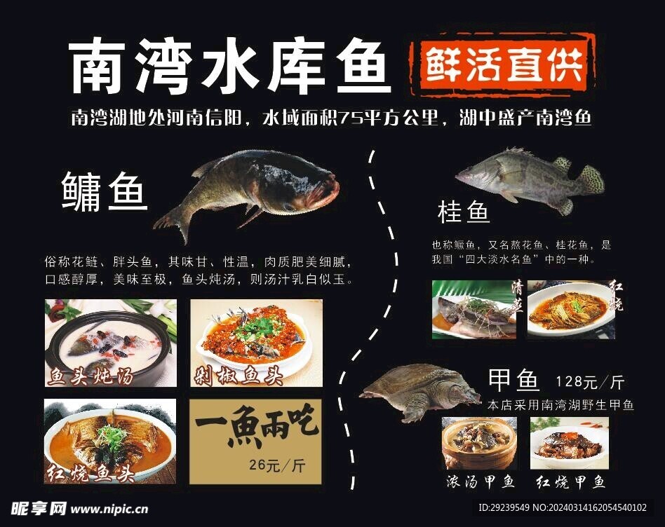 鱼灯箱画面