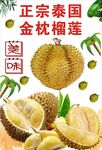 金枕榴莲图