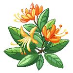 像素风格金银花