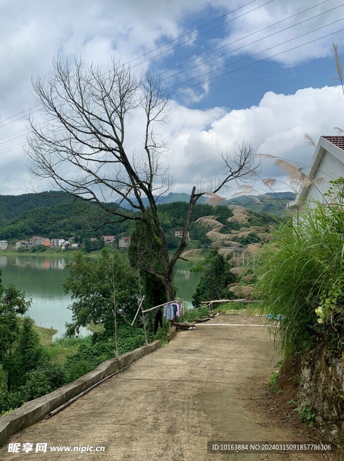 山水人家