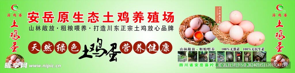 土鸡蛋展台