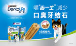 犬粮海报设计
