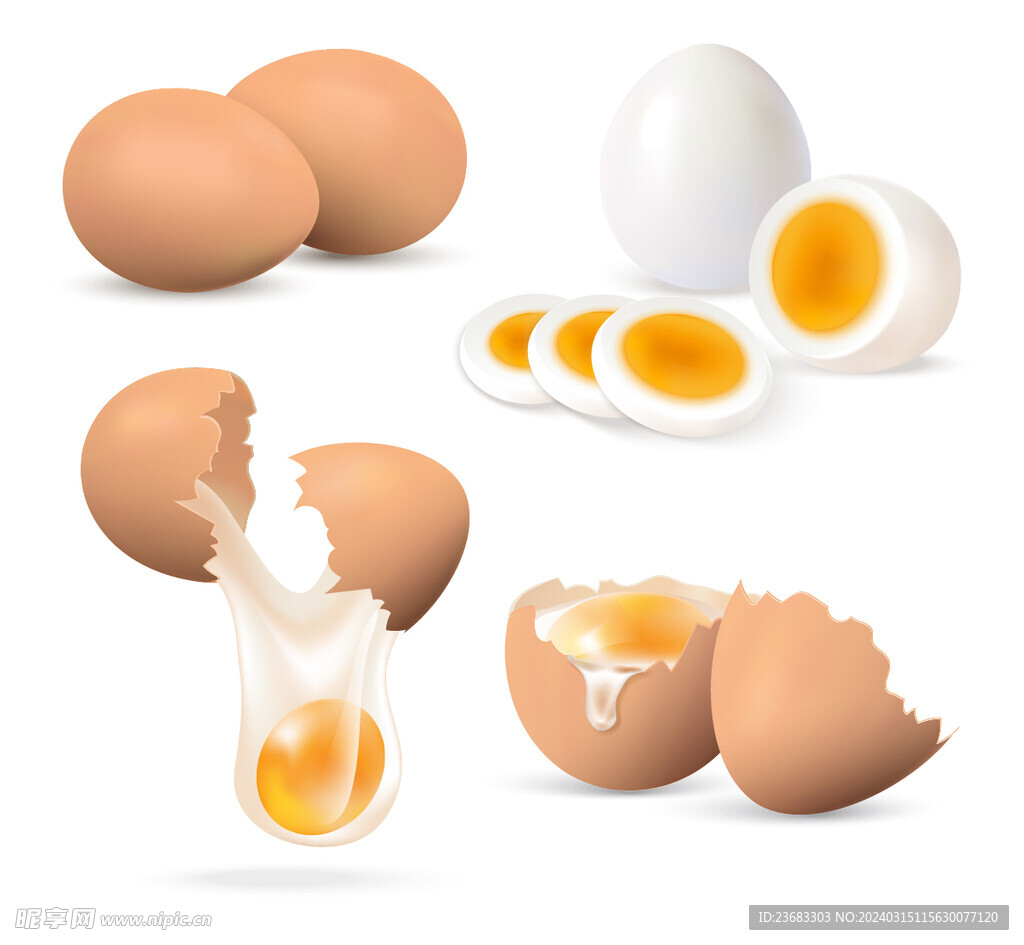 鸡蛋矢量图素材