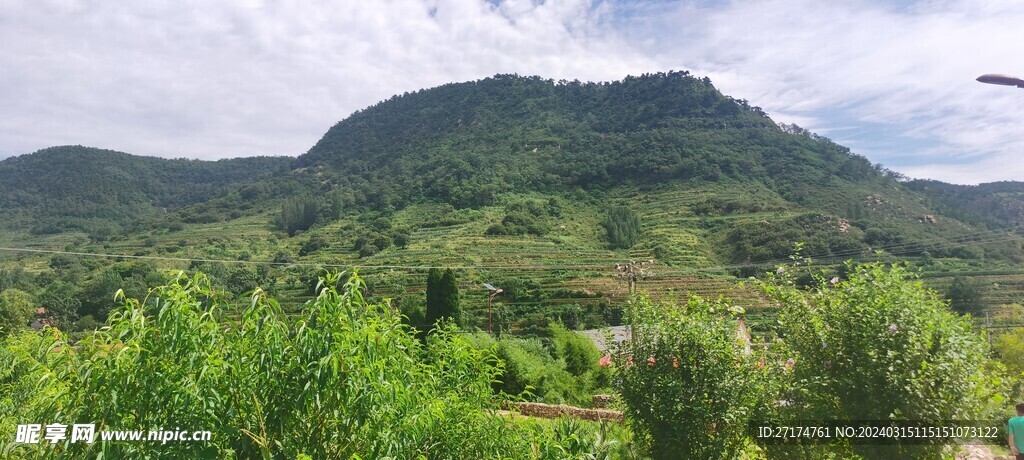 花草树木 沂蒙山 山水