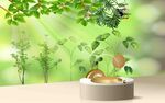 绿植背景墙  