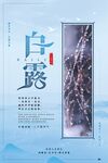 白露