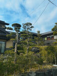 日本建筑别墅庭院木屋风景 