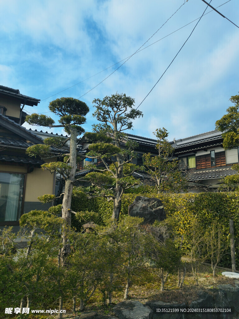 日本建筑别墅庭院木屋风景 