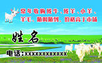 羊名片