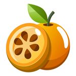 枇杷剖面素材