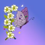 蝴蝶