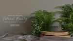 石质绿色植物产品展台 