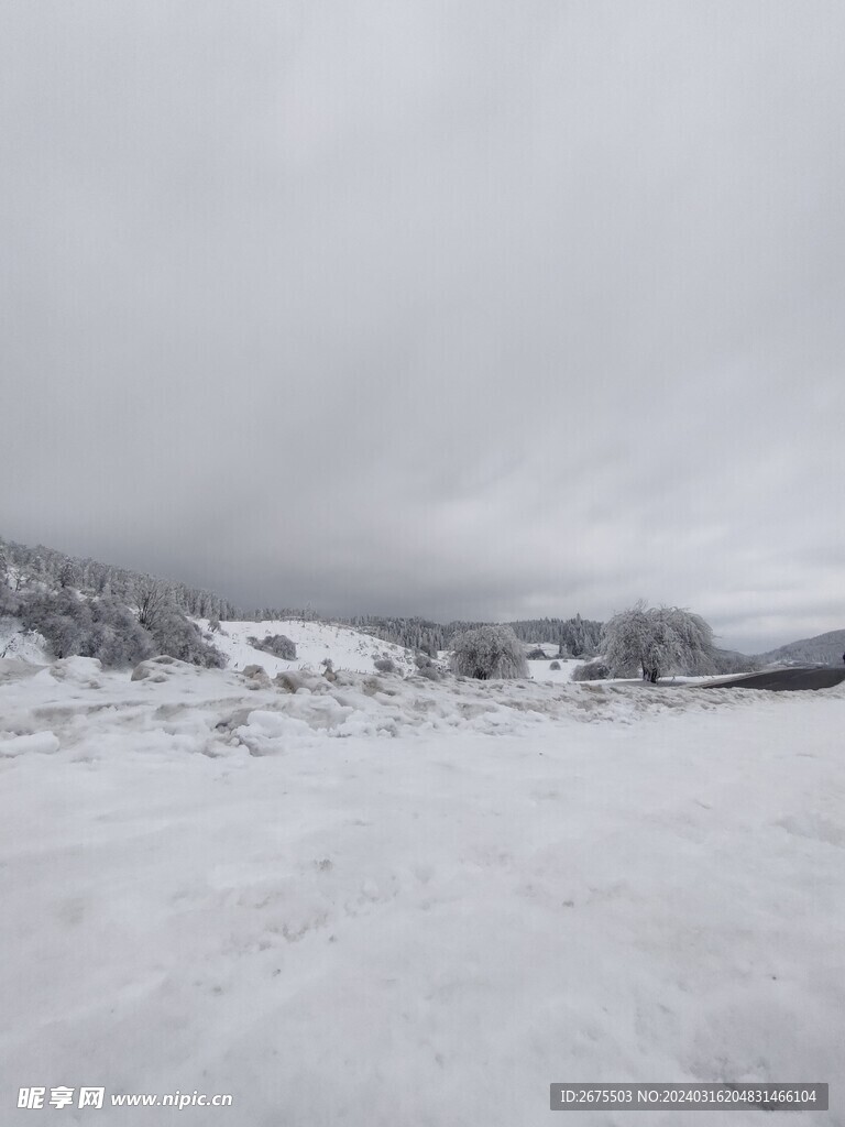 大雪风光