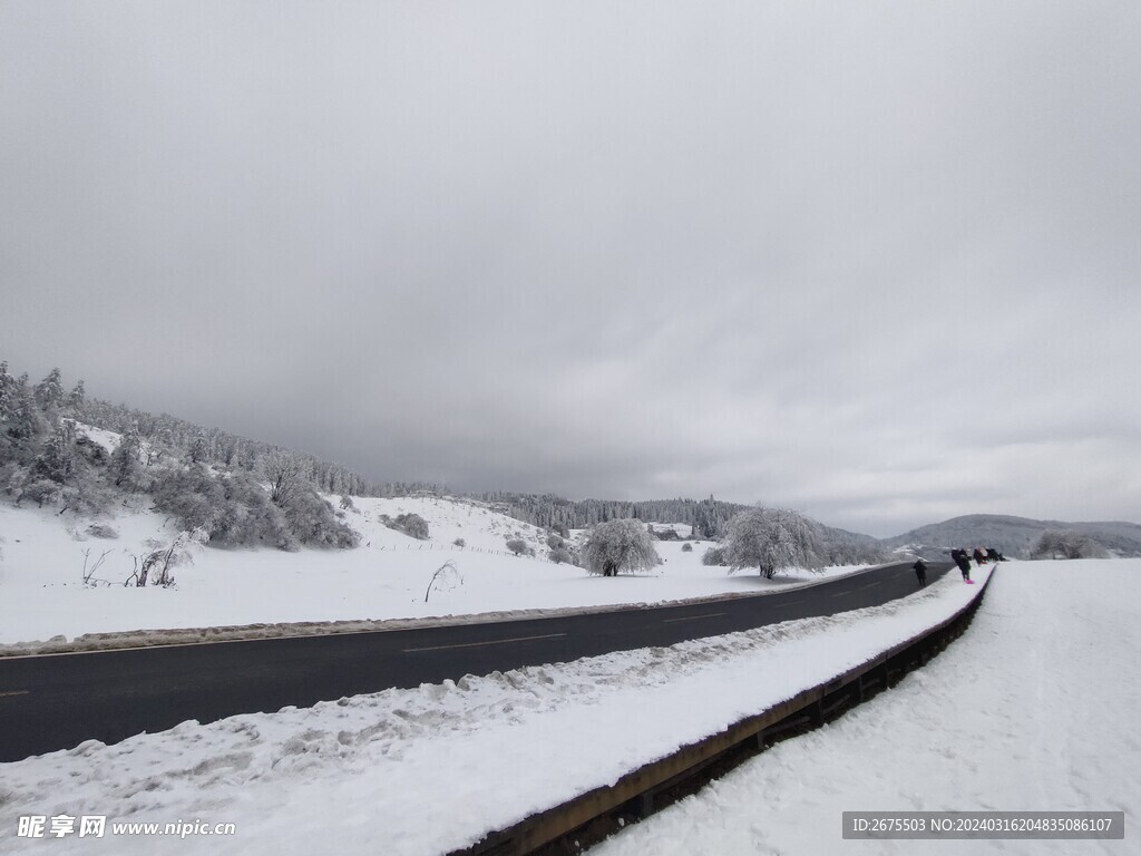 大雪中的公路