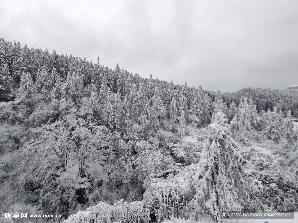 大雪风光