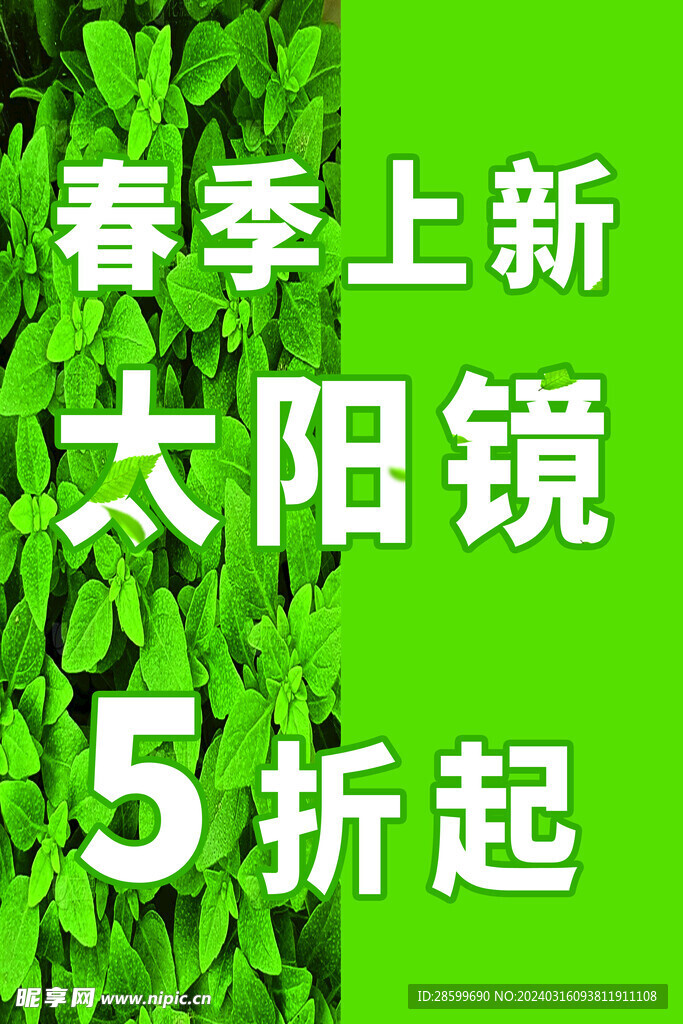 太阳镜