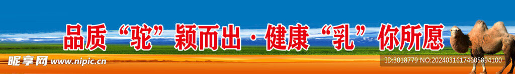 驼奶吊旗