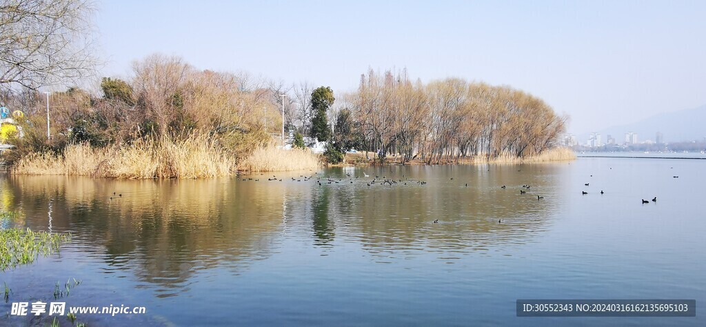 玄武湖水景