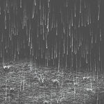 大雨