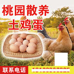 桃园散养土鸡蛋