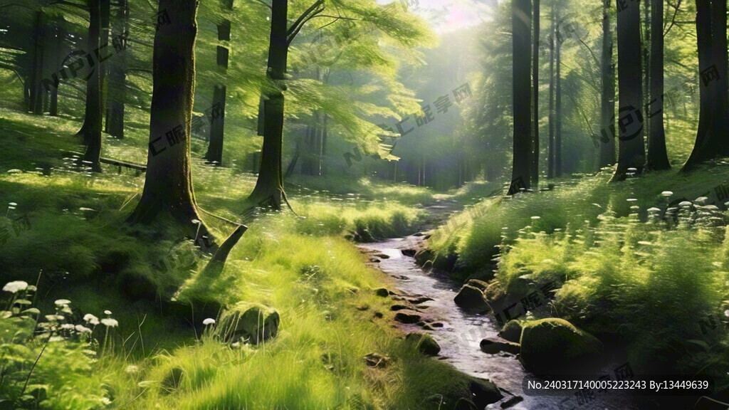 绿色  森林  草地