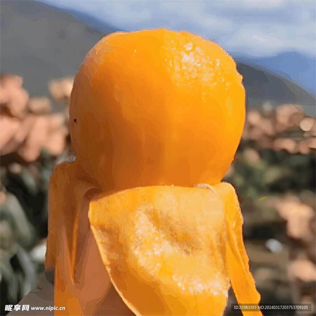 枇杷栽培