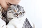 猫猫