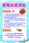 草莓园采摘须知