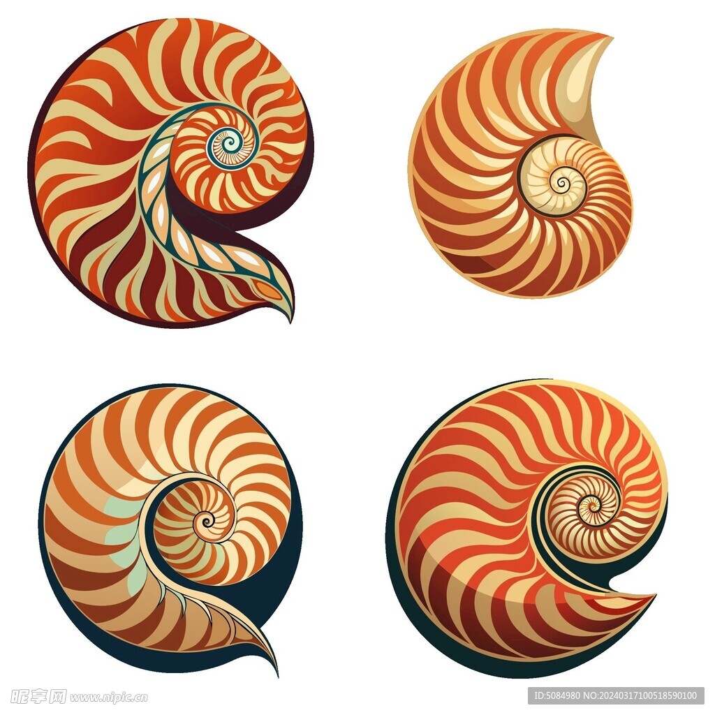 扁平风格的鹦鹉螺组图